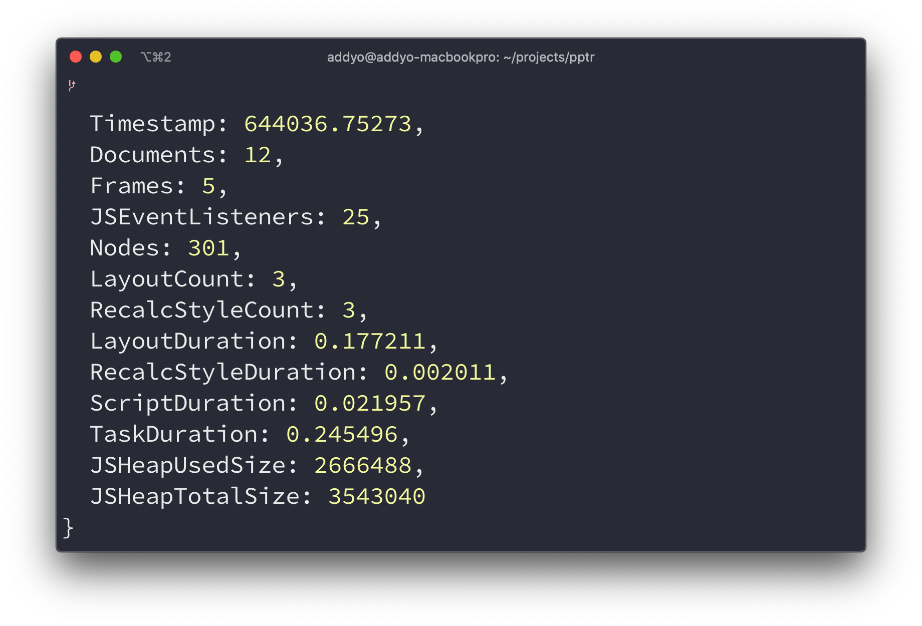 Runtime performance metrics shown in the terminal